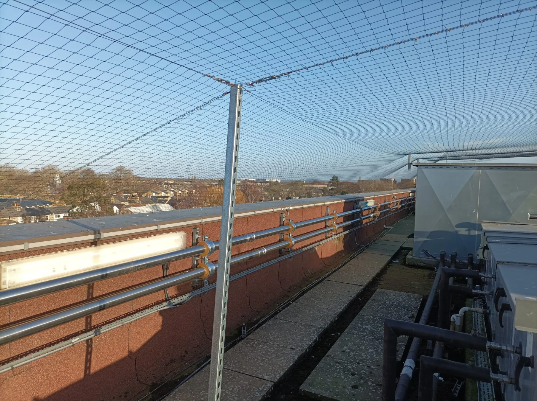 Industrial warehouse with bird netting